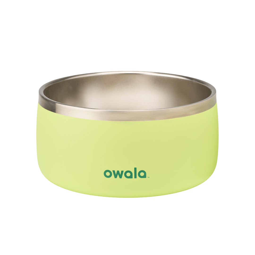 Pet Bowl [YBY0]