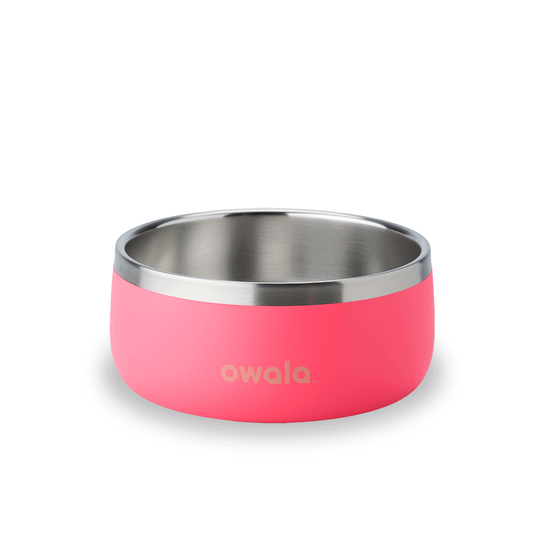 Pet Bowl [YBY0]