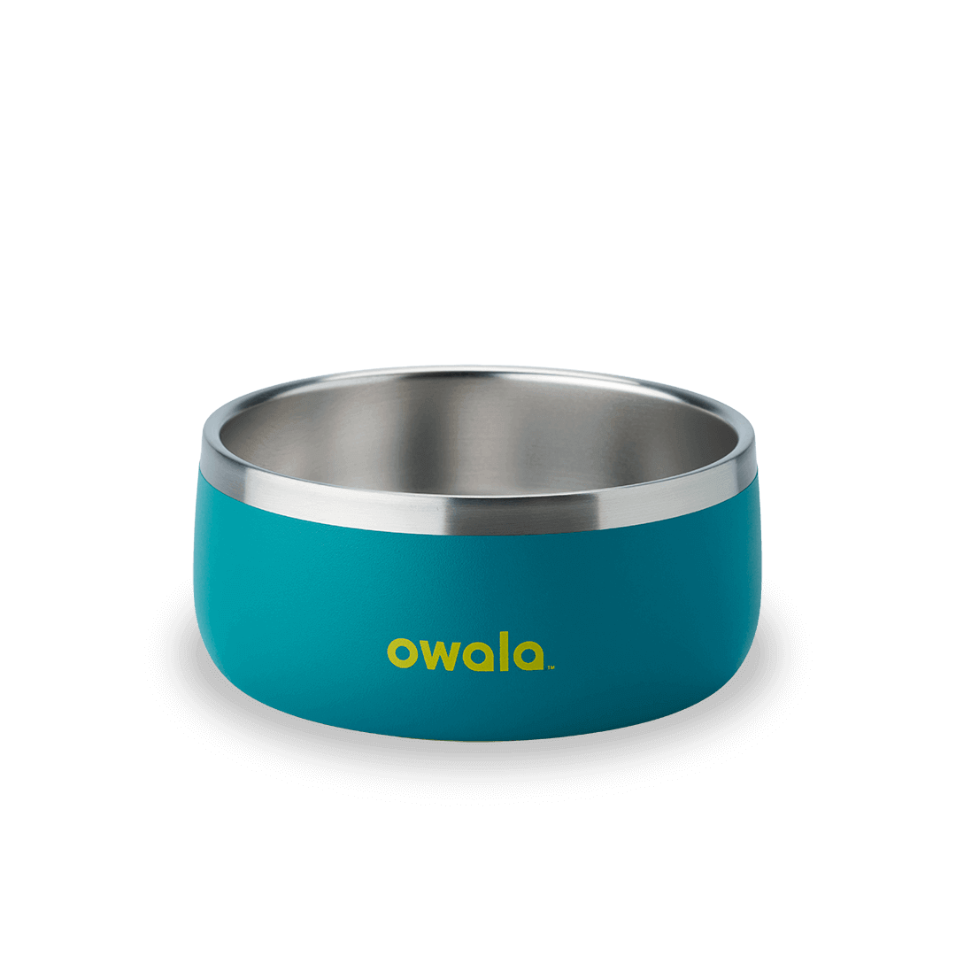 Pet Bowl [YBY0]